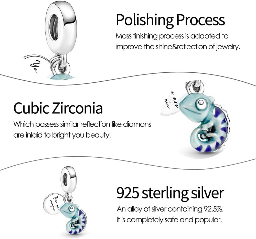 Comparing Women’s 925 Silver Charm Bracelets and Necklaces